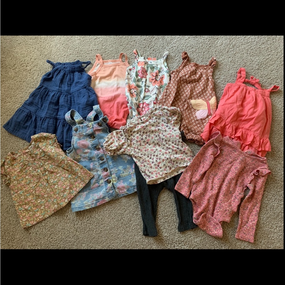 Toddler Girl Clothes Bundle 12-18m